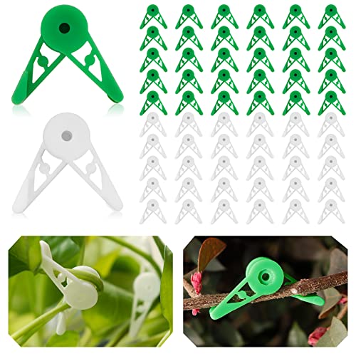 Branch Benders