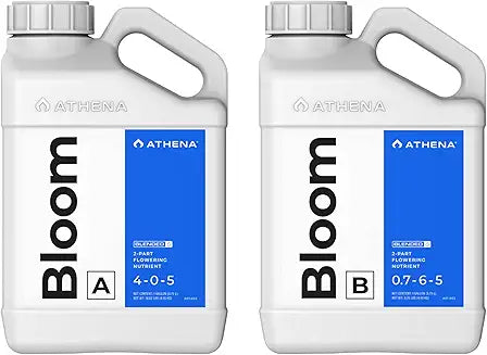 Athena Bloom A/B 1gal