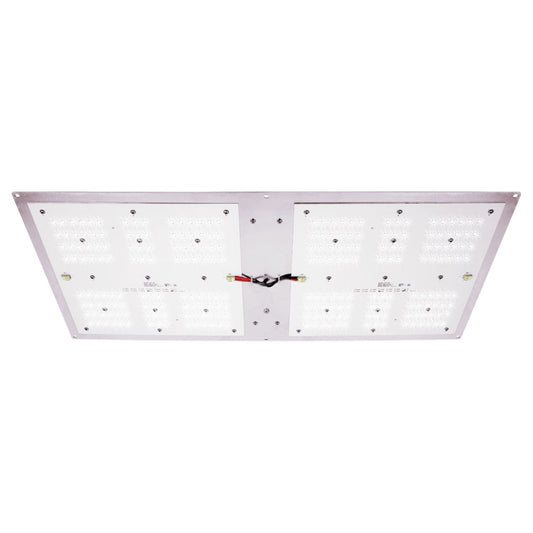 AgroMax RAW 130 3000K LED
