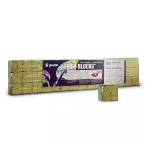 Rockwool Starter Cube 1.5"