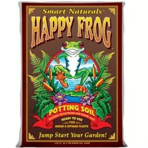 Happy Frog
