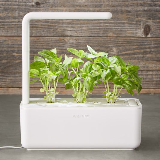 Smart Garden  Click & Grow