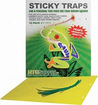 Sticky Traps 20 pack